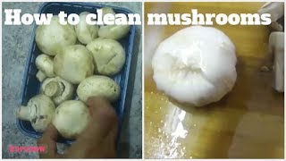 Hey viewers! in this video you learn to clean mushrooms and cut them..
if like hit the button ,comment below share it with your friends a...
