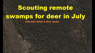 Summer scouting a new swamp for deer spots