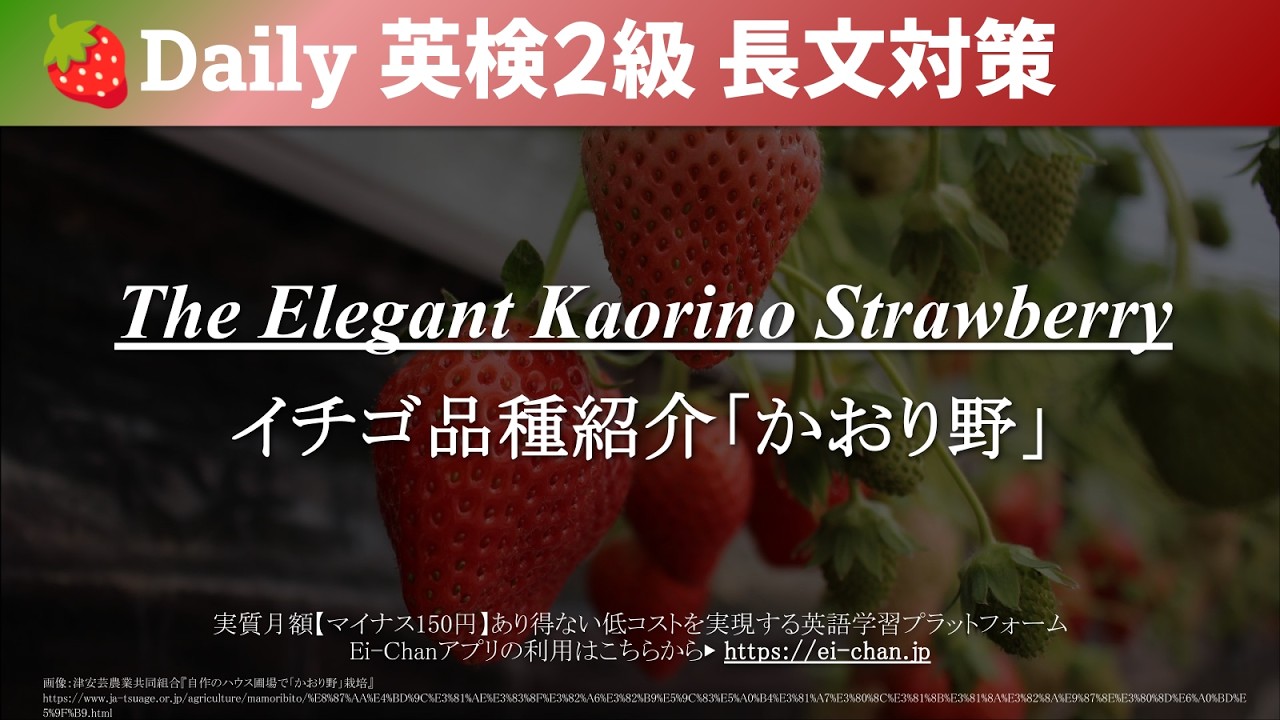 Daily 英検2級】気楽に聞き流す英検2級対策長文 - 『イチゴ品種紹介