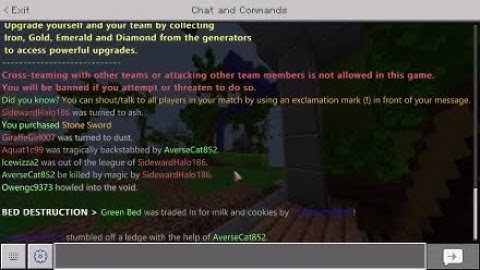 more hackers nethergames