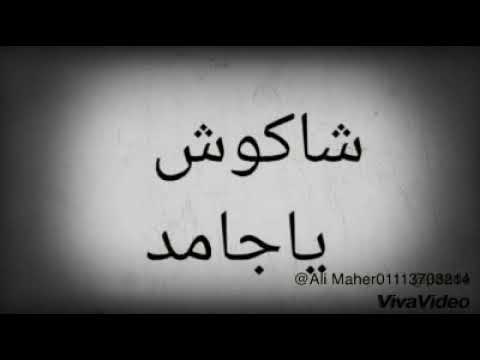 ولا انت تبقى مين