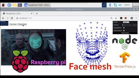 Raspberry pi Face Mash TensorFlow.JS Demo Code