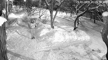 IP-камера, REOLINK RLC-410