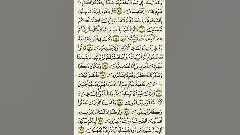 سورة النمل من الآية ٤٥ إلى الآية ٥٥بصوت القارئ ماهر المعيقلي