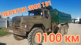 ПЕРЕГОН ЗИЛ-131. 1100 КИЛОМЕТРОВ!!!RELEASE ZIL-131.  1100 KILOMETERS