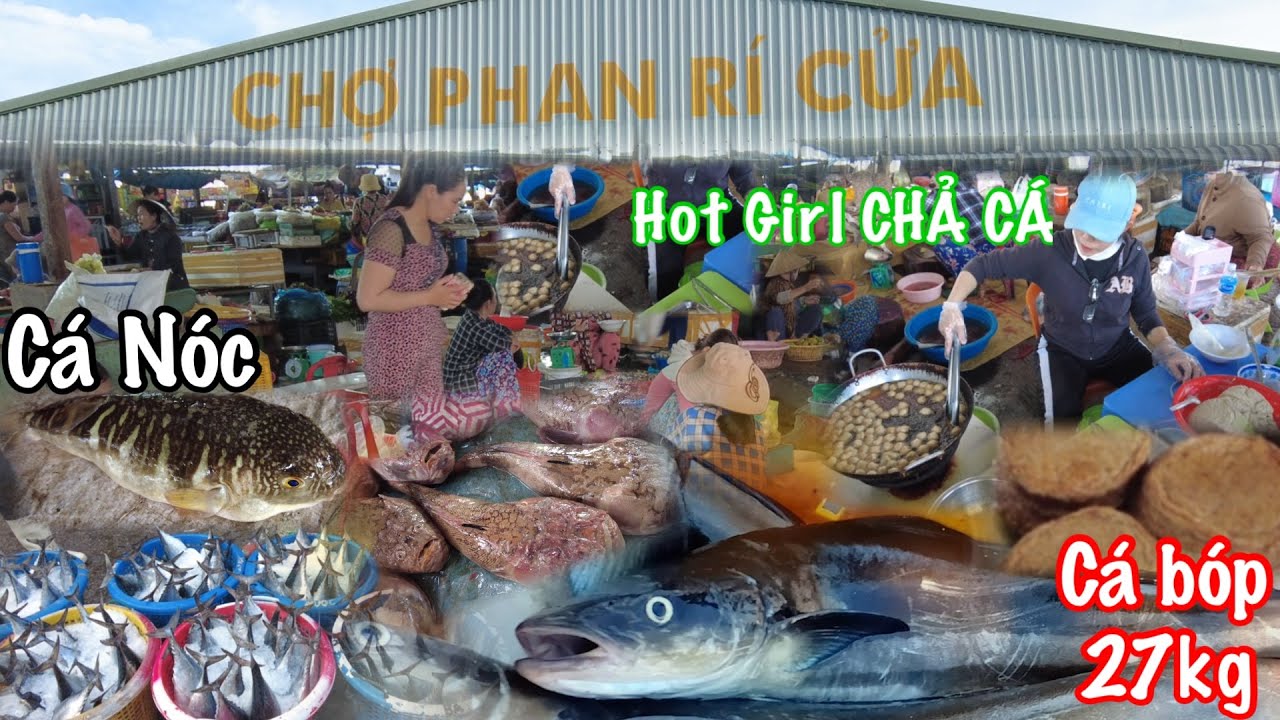 ĐẶC BIỆT CÁ BÓP BIỂN SIÊU KHỦNG 27KG TẠI CHỢ PHAN RÍ NHỘN NHỊP Cùng HOT GIRL BÁN CHẢ CÁ…