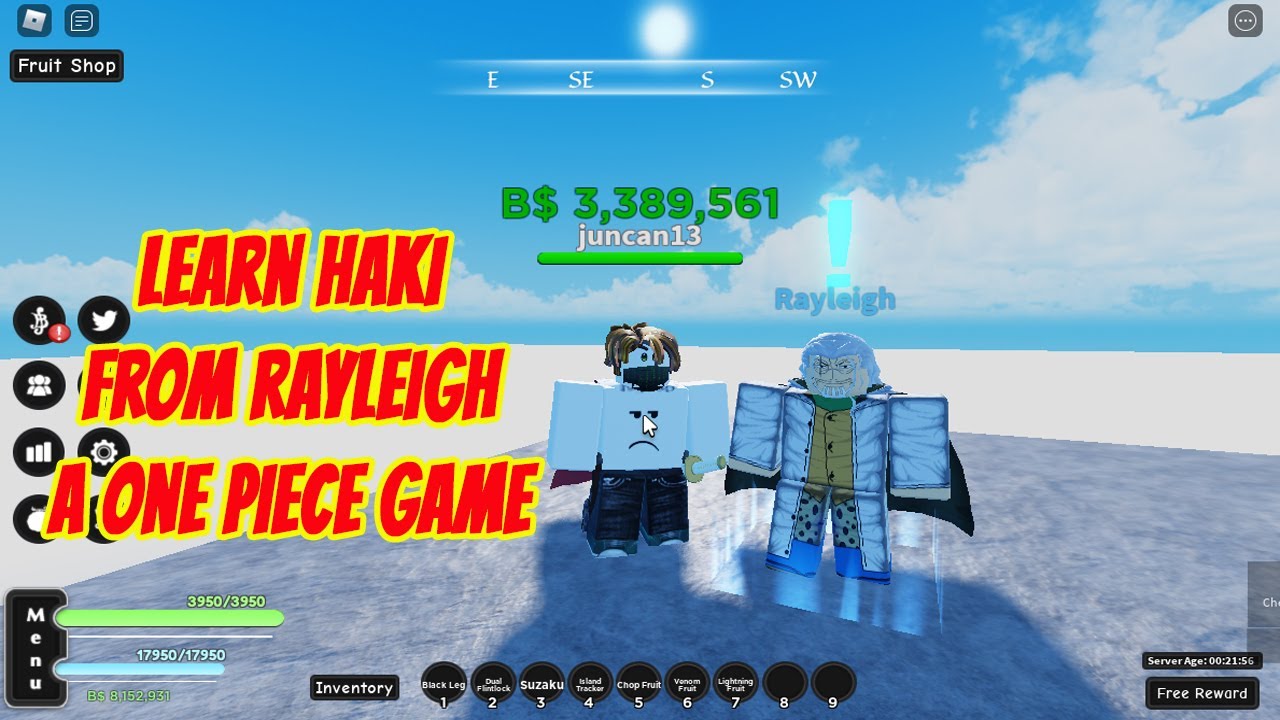 Roblox A One Piece Game Codes (December 2022)