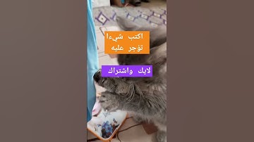 تلاوة ماشاء الله تبارك الرحمان  تقشعر لها الابدان  تابع وانشر تؤجر #اكسبلور