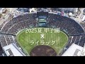 MAD 2025夏の甲子園 ライラック