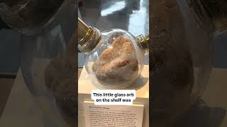 Check out this hidden museum at a Boston hospital