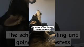 Teacher 90 Out Of 100 Students 100 Out Of 100