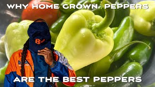 why home grown produce is the best produce