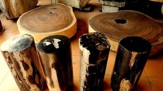 Petrified Teak Wood Rustic Coffee Tables, End Tables, Outdoor Patio and Porch Furniture for sale. http://www.indogemstone.com/