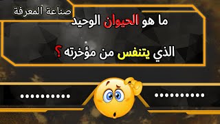 ما هو الحيوان الذى يتنفس  من مواخرته؟