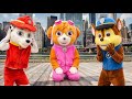 パウ・チームが出動！悪役を阻止せよ