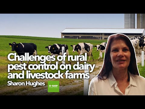 Challenges of rural pest control on dairy and livestock farms
