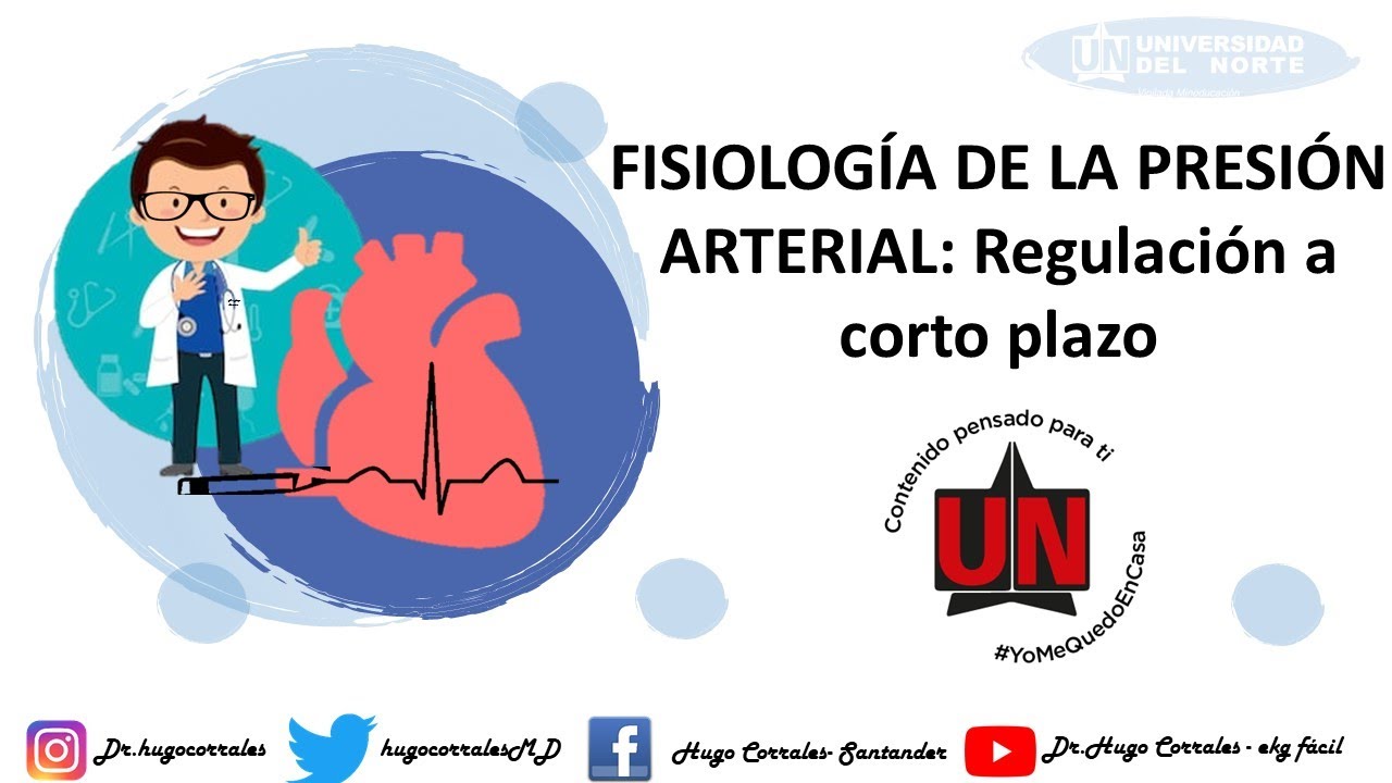 Fisiologia De La Presion Arterial Parte I Determinantes Hugo Corrales Md Msc Youtube