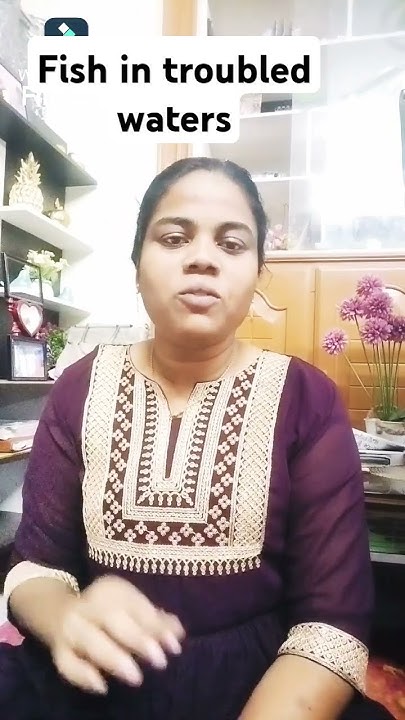 fish-in-troubled-waters-idiom-meaning-in-telugu-youtube
