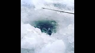 Зимняя рыбалка стартовала на озере Койбагар ноябрь 2021 Карасуский район Костанайская обл Казахстан