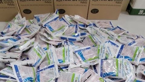 (Trực Tiếp)Thuốc diệt chuột Klerat  hãng Sygenta Thụy Sĩ