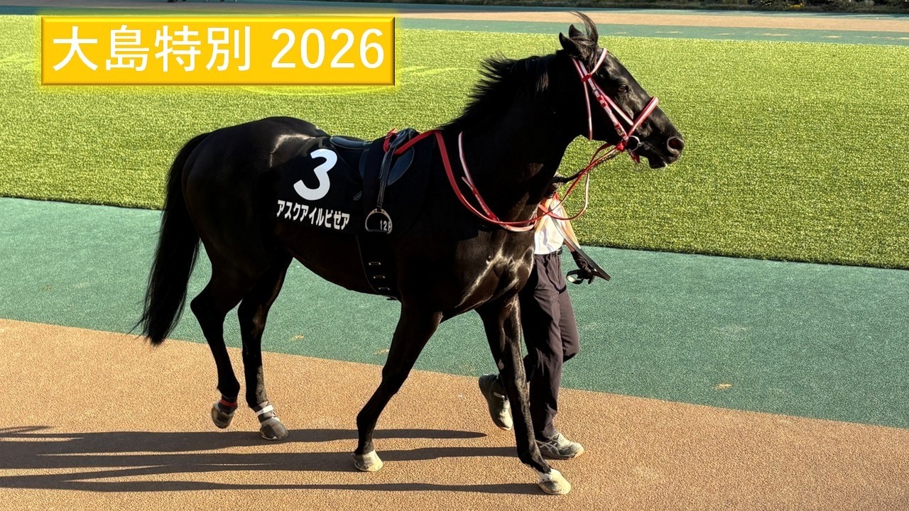 2026年2月22日 | 大島特別 | アスクアイルビゼア | セントラルヴァレー | ベラジオワールド | パドック 現地映像 全頭 | 東京競馬場 | ダート1,400