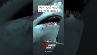 Shark Vs Titanoboa | Epic Battle Of The Titans #Shorts