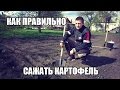 Как правильно сажать картофель