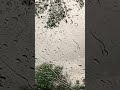 Relaxing spring rain 🌧️