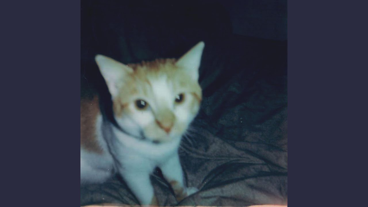 Watch light rail on YouTube Watch light rail on YouTube