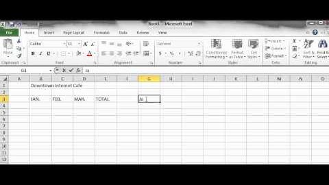 MS Excel Lab#1-Data Entries