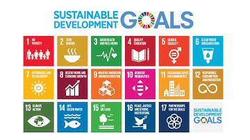 SDG 9 Industry, Innovation, and Infrastructure -Sustainability Development Goals(SDGs) Video Series