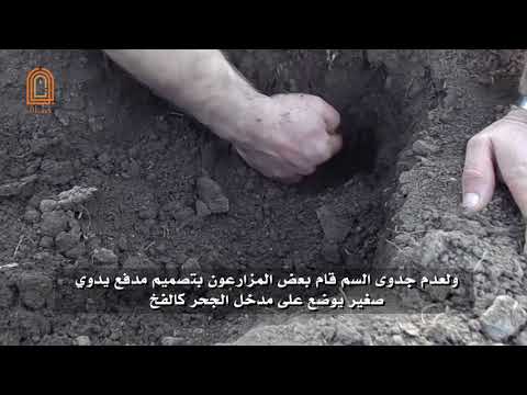 #بوابة_حماة| كيفية مكافحة حيوان الخلد