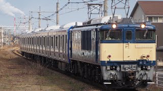 【新津配給】EF64-1031[新潟]+E235系1000番台クラJ-31編成新津配給輸送 信越本線亀田駅通過