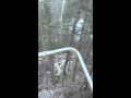 Deer hunting Upnorth Wisconsin