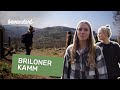 Berg hinauf, Berg hinab auf dem Briloner Kamm 🏔 | bevandert Vlog