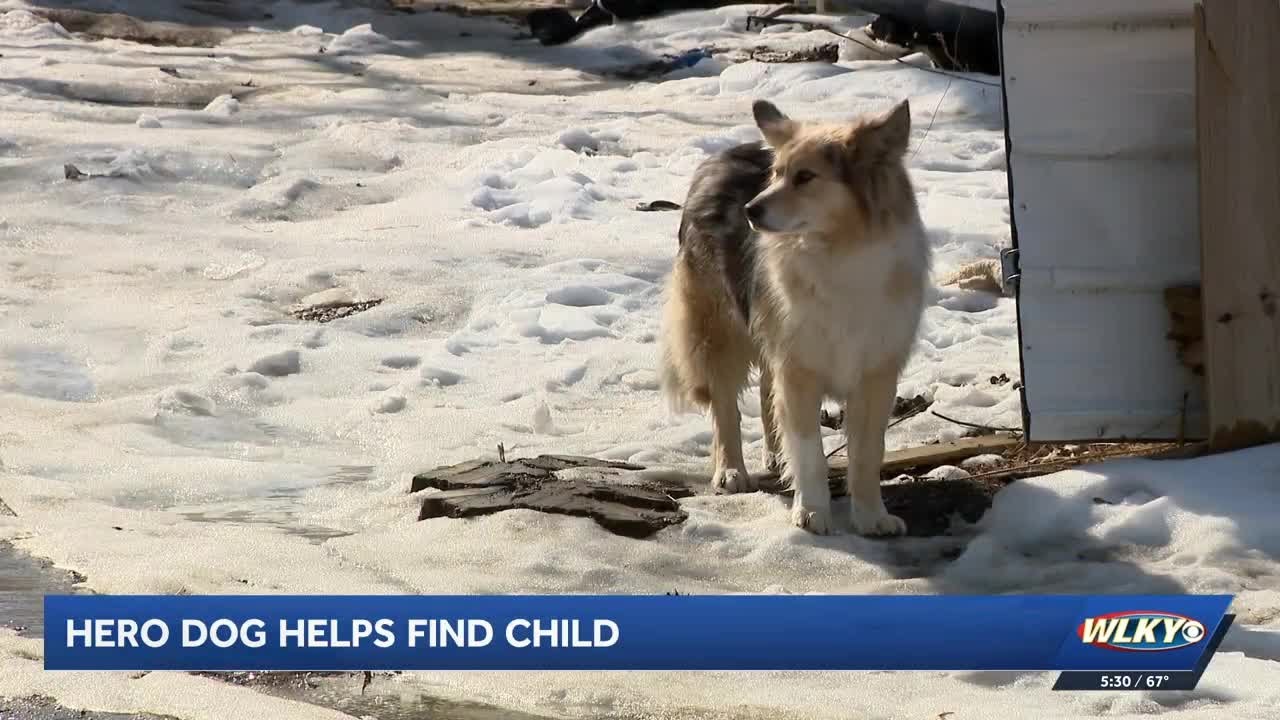 'Hero' dog helps LMPD finding missing 3-year-old boy