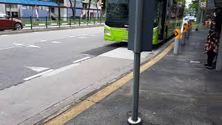 SMRT MAN A95 (Euro 6) (BATCH 4) service 901M (SG6111L) at bus stop beside Galaxy CC