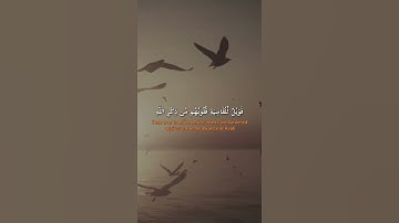 افمن شرح الله صدره للاسلام 🌷🕋🌷#محمد_اللحيدان #سورة_الزمر