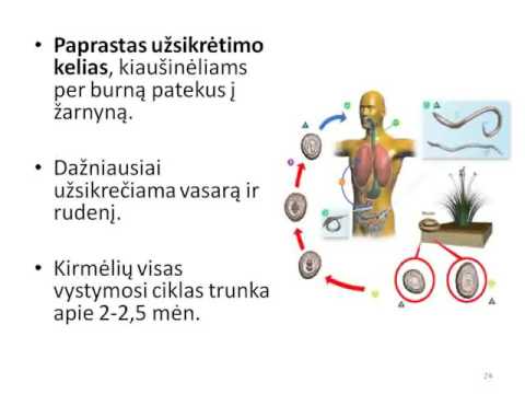 Parazitozių epidemiologinės priežiūros tobulinimo klausimai