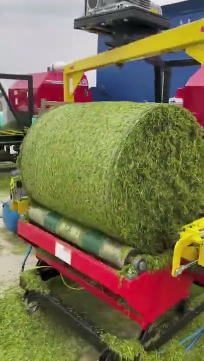 how to make grass into hay bales🤔It's really modern and easy.😎🤠 #Shorts