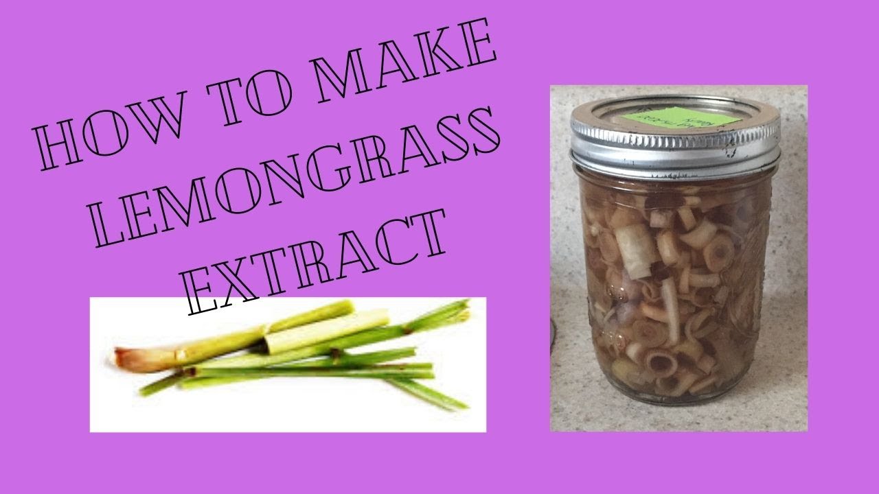How to make lemongrass extract DIY YouTube