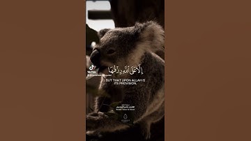 #سورة_هود #quran #حالات #قران_كريم #quran_alkarim #ياسر_الدوسري #tiktok #هزاع_البلوشي
