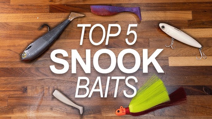 10 Best Snook Lures Right Now: Catch More Snook with These
