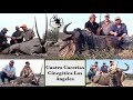 Cuatro Cacerías con Rifle en Cinegética Los Ángeles de Ñu Gemsbok y Blck Buck en Grandes Trofeos