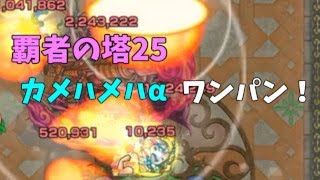 モンスト 覇者の塔25 カメハメハa ボス1 友情ワンパン モンスターストライク動画まとめ モンスト 覇者の塔25 カメハメハa ボス1 友情ワンパン モンスターストライク動画まとめ