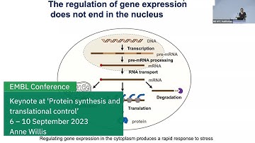 EMBL keynote lecture:  From stress adaptation to off-target immune response