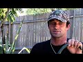 Neco padaratz talks about his 2005 aspwct drug ban  his back injury comeback brazilian pro surfer