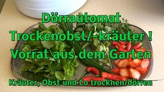 Kräuterobst Dörrentrocknen Vorrat Aus Garten Dörrautomat Test