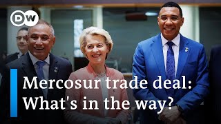 EU and Latin American Mercosur bloc struggle to reach a trade deal | DW News