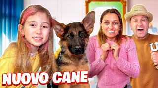 REGALIAMO UN NUOVO CUCCIOLO DI CANE A GIORGIA!